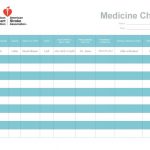 10+ Free Daily Medication Schedule Templates