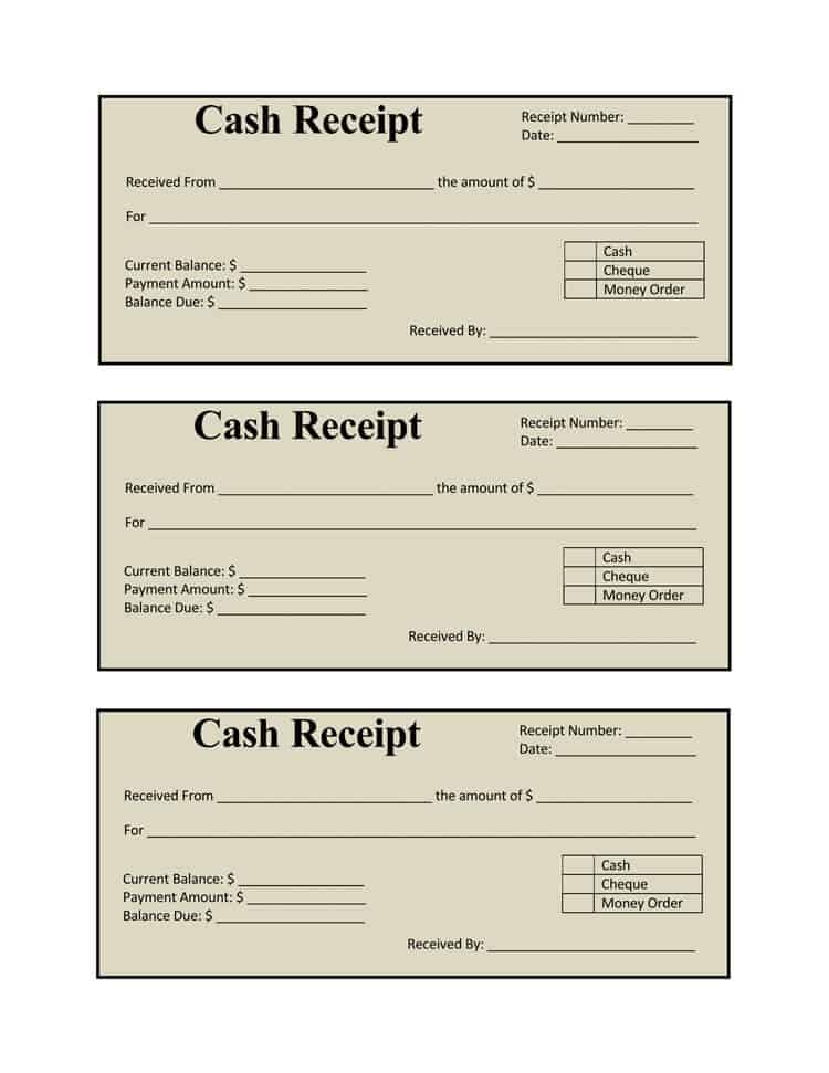 6+ Cash Payment Receipt Templates