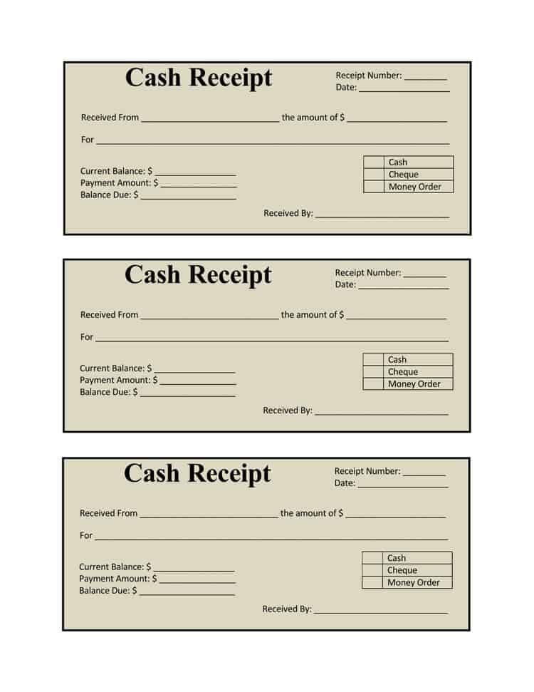 6 Cash Payment Receipt Templates