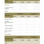 13+ Free Income Statement Templates