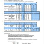 18+ Free Monthly Sales Report Templates