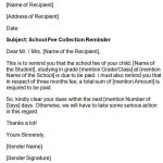 11 Exclusive Collection Letter Samples & Examples