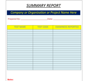 28+ FREE Summary Report Templates [EXCEL, WORD & PDF]